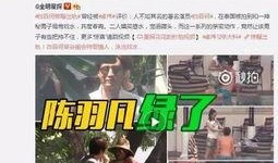 阿庆被爆料出轨视频,真相与舆论的漩涡